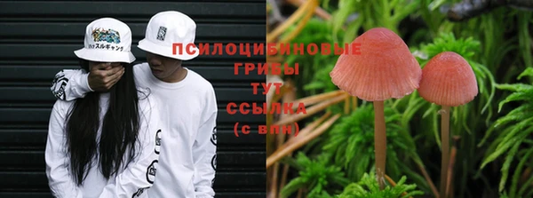 спиды Нефтегорск