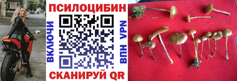 Псилоцибиновые грибы мухоморы  MEGA ССЫЛКА  Бузулук  дарнет шоп 