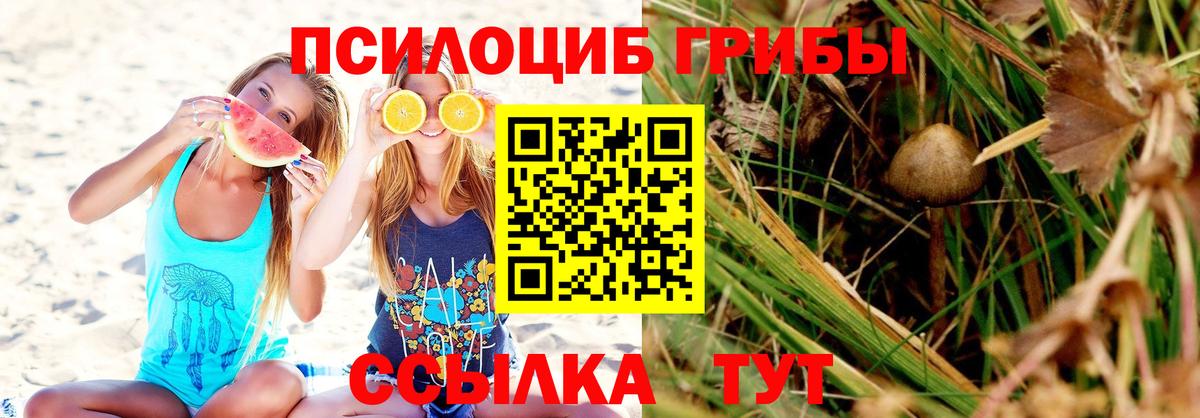 Галлюциногенные грибы Cubensis Бузулук