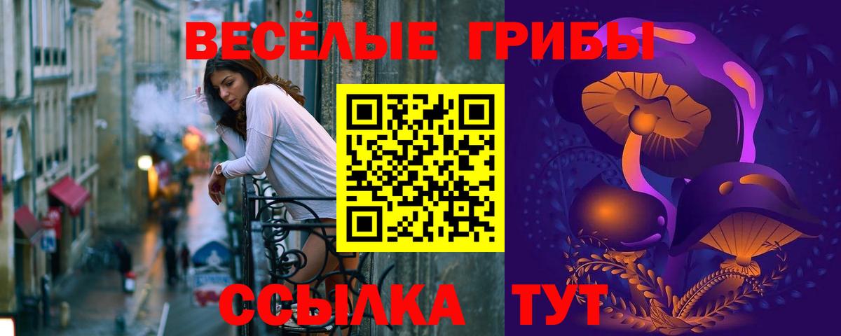 Бузулук  даркнет сайт  Вход с VPN  Псилоцибиновые грибы ЛСД 